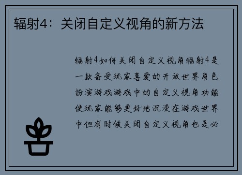 辐射4：关闭自定义视角的新方法